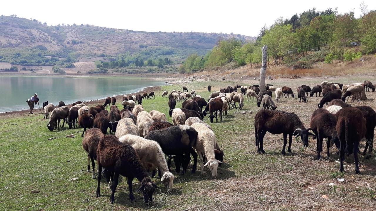 Appartamento Fiuggi Terme Bagian luar foto